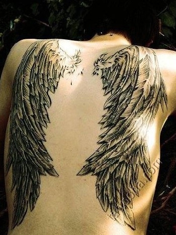 Крылья на спине