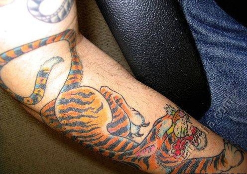 Тигр на руке
