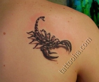 Скорпион на спине