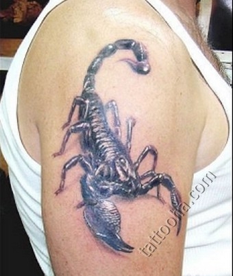 Красивый скорпион на плече