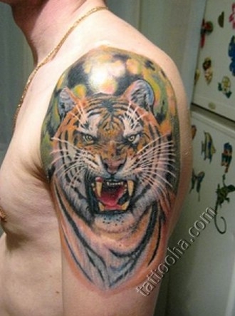 Тигр с фоном на спине