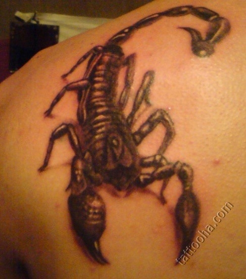 Большой скорпион на спине
