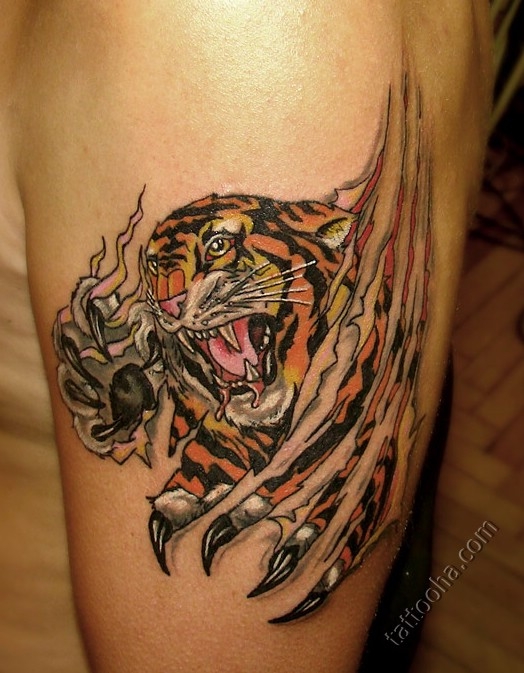 Рвущий тигр