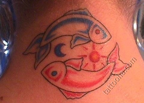 Красная и синяя рыбы