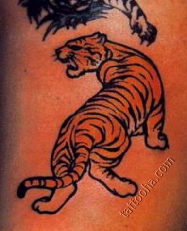 Хвостатый тигр
