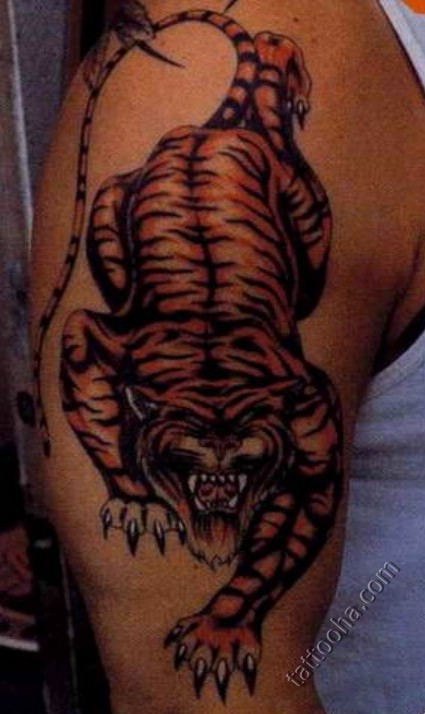 Тигр крадется на плече