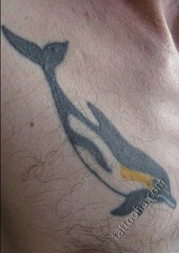 Дельфин с желтым пятном