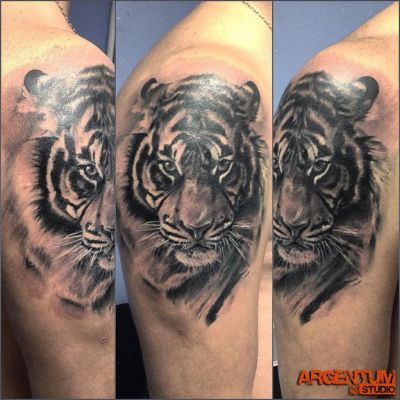 Черный тигр на плече