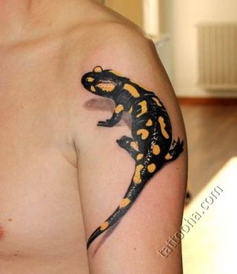 Огненная саламандра на плече