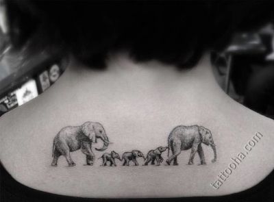 Молодая семья слонов