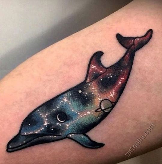 Космический дельфин