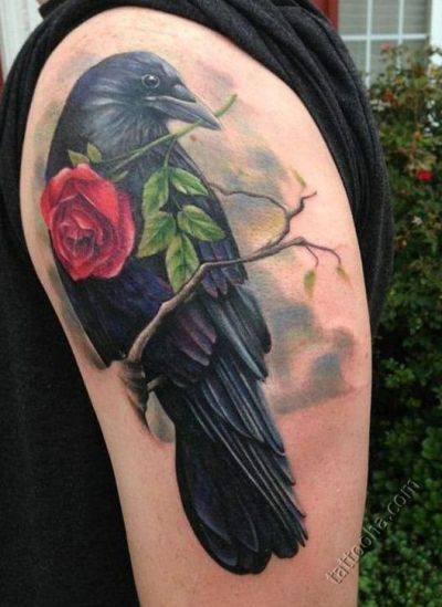 Ворона с розой в клюве