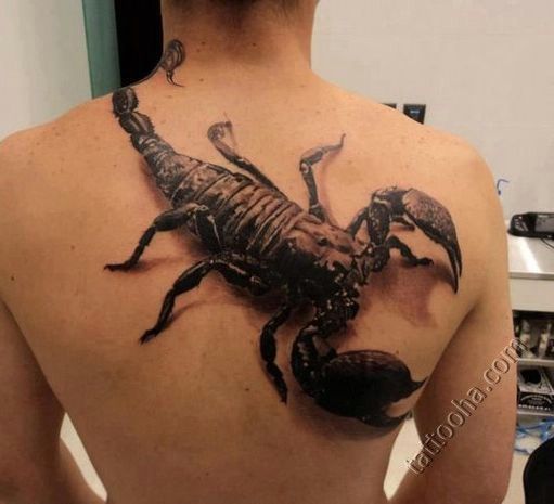 Огромный скорпион на спине