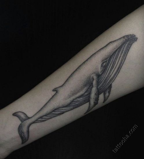 Одинокий кит