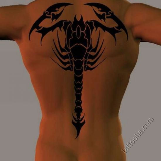 Скорпион с выпрямленным хвостом