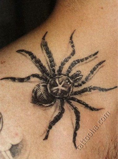 Черный паук со звездочкой на спинке