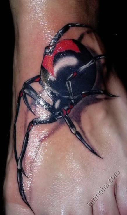Офигенный красивый черный паук с красной меткой