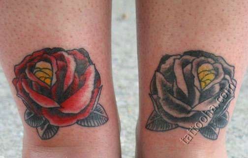 Роза черная и красная