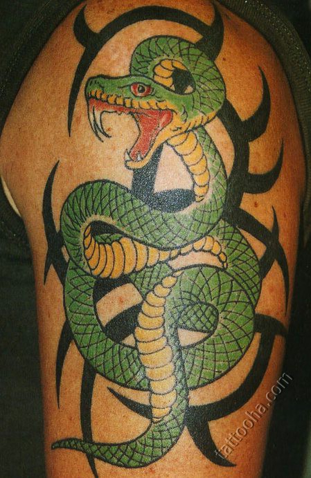 Знак зеленного змея с желтым брюшком