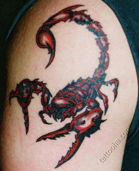 Красный скорпион с наростами
