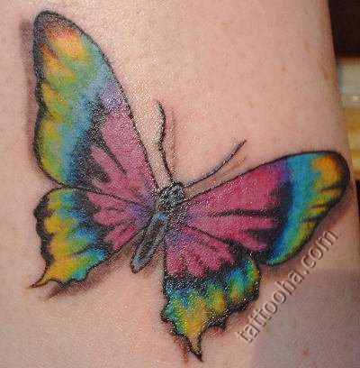 Бабочка цветная