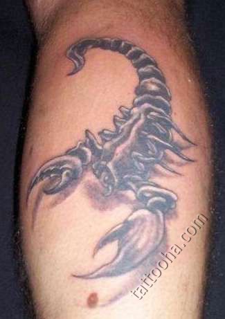 Черный скорпион с капелькой смертельного яда