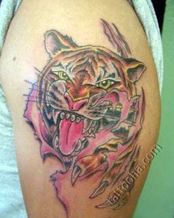 Кровавый тигр