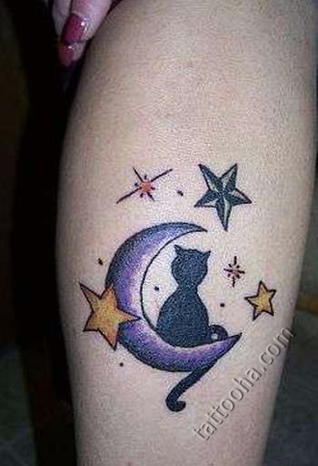 Кошка на луне со звездами