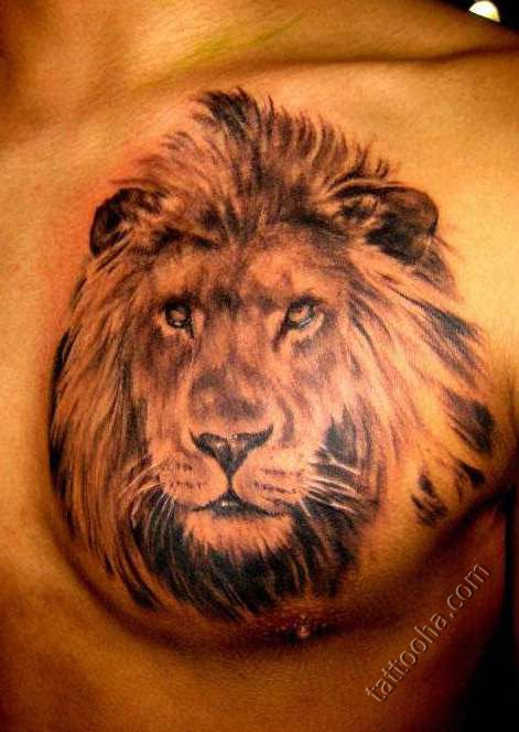 Морда красивого льва на груди