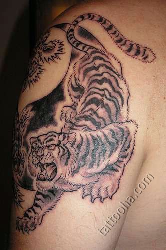 Тигр охотник