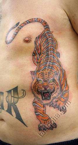Золотой тигр защитник