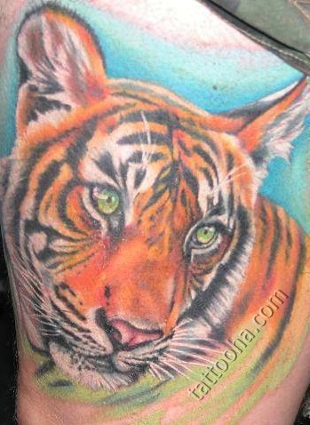 Добрый полосатый тигр