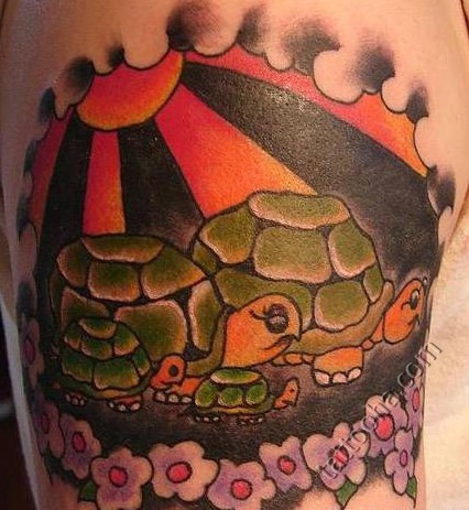 Черепахи с черепашками