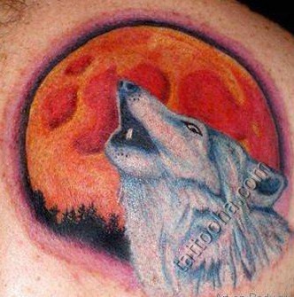 Белый волк воющий на луну