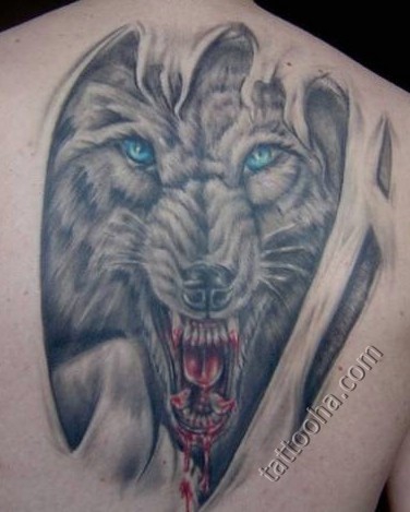 Злой волк с голубыми глазами и пастью в крови