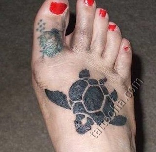 Черепаха водная на ноге