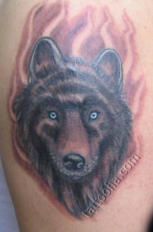 Волк на плече