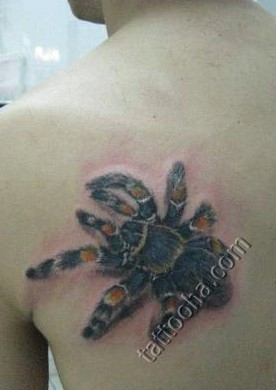 Большой паук на плече