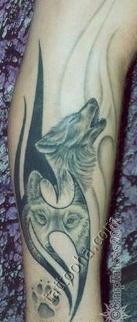 Два волка с узором