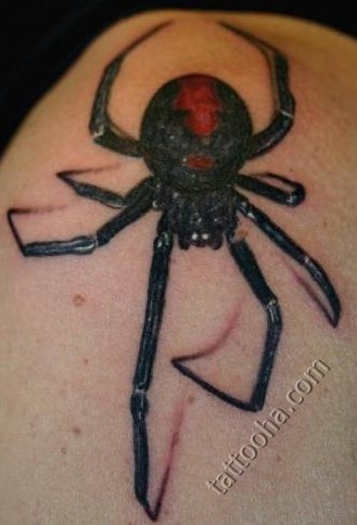 Ядовитый паук с красной меткой