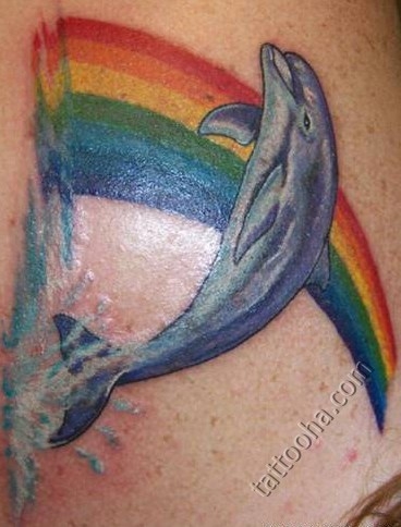 Дельфин на фоне радуги