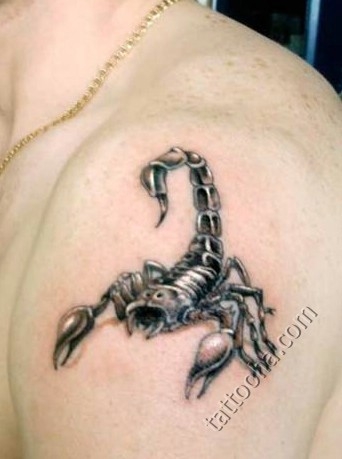 Скорпион змея