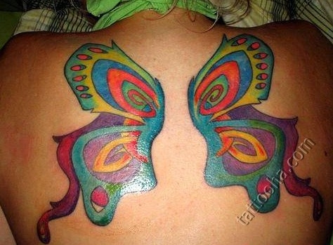 Разночветные крылья бабочки