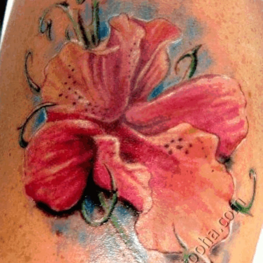 Фото и значение татуировки Орхидея.  233826a67be66a810b23a263230da62e_XL