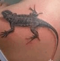 Фото и значение татуировки Саламандра. Eb6c7c01c4e98e1f2578f9959463b973_S