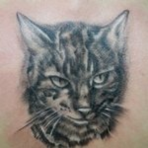 Тату с котом