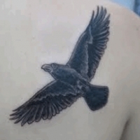 Значение и символизм татуировки ворон