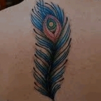 Значение и символизм татуировки перо павлина