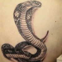 Значение тату змея