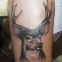 Значение и символизм татуировки олень